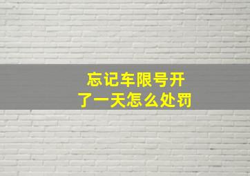 忘记车限号开了一天怎么处罚