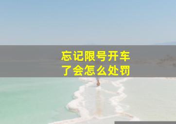 忘记限号开车了会怎么处罚