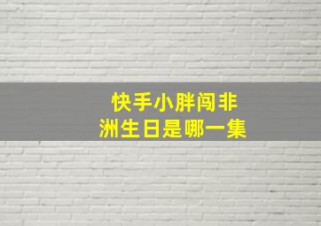 快手小胖闯非洲生日是哪一集