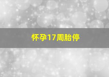 怀孕17周胎停