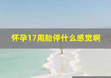 怀孕17周胎停什么感觉啊