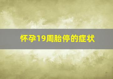 怀孕19周胎停的症状