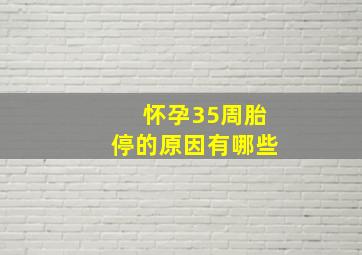 怀孕35周胎停的原因有哪些