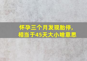 怀孕三个月发现胎停,相当于45天大小啥意思