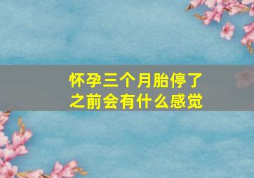 怀孕三个月胎停了之前会有什么感觉