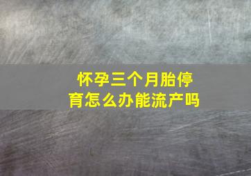 怀孕三个月胎停育怎么办能流产吗