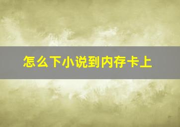 怎么下小说到内存卡上