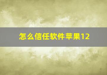 怎么信任软件苹果12