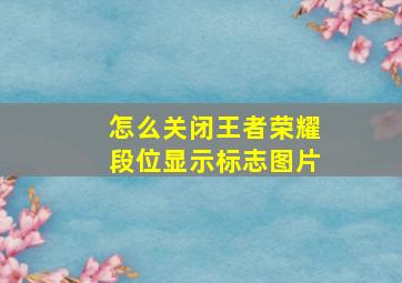 怎么关闭王者荣耀段位显示标志图片