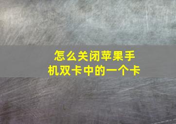 怎么关闭苹果手机双卡中的一个卡