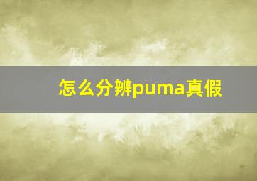 怎么分辨puma真假