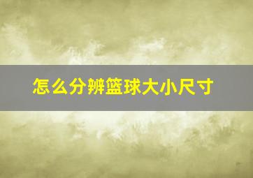 怎么分辨篮球大小尺寸