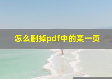 怎么删掉pdf中的某一页