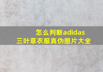 怎么判断adidas三叶草衣服真伪图片大全