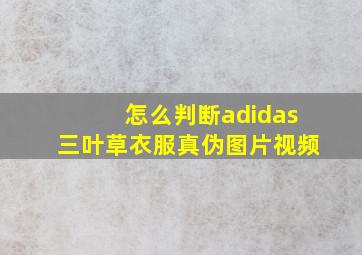 怎么判断adidas三叶草衣服真伪图片视频