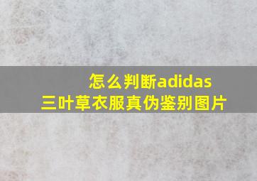 怎么判断adidas三叶草衣服真伪鉴别图片