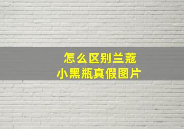 怎么区别兰蔻小黑瓶真假图片