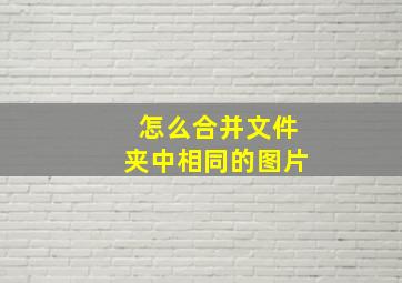 怎么合并文件夹中相同的图片