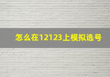 怎么在12123上模拟选号