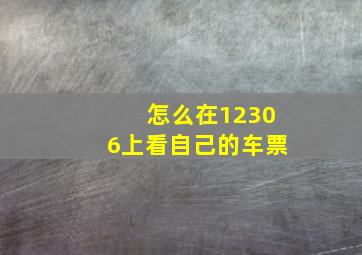 怎么在12306上看自己的车票