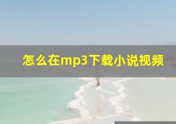 怎么在mp3下载小说视频