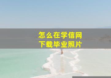 怎么在学信网下载毕业照片