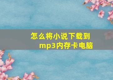 怎么将小说下载到mp3内存卡电脑