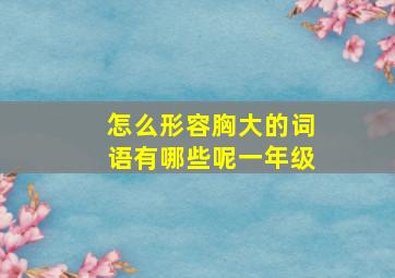 怎么形容胸大的词语有哪些呢一年级