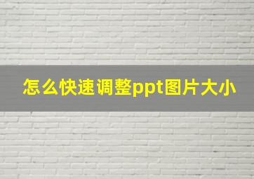 怎么快速调整ppt图片大小