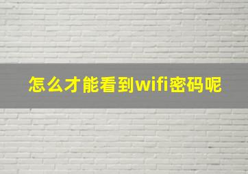 怎么才能看到wifi密码呢