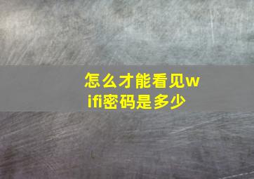 怎么才能看见wifi密码是多少