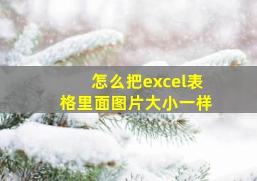 怎么把excel表格里面图片大小一样