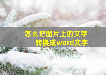 怎么把图片上的文字转换成word文字