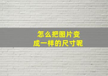 怎么把图片变成一样的尺寸呢