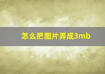 怎么把图片弄成3mb