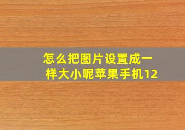 怎么把图片设置成一样大小呢苹果手机12