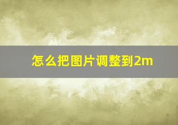 怎么把图片调整到2m