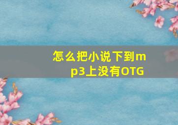 怎么把小说下到mp3上没有OTG