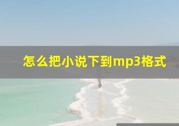 怎么把小说下到mp3格式