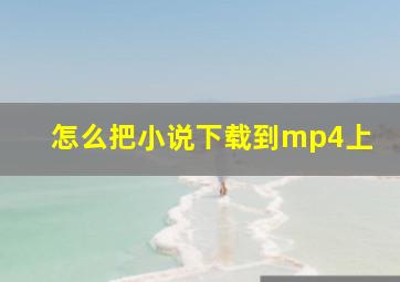 怎么把小说下载到mp4上