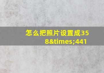 怎么把照片设置成358×441