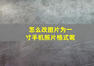 怎么改图片为一寸手机照片格式呢