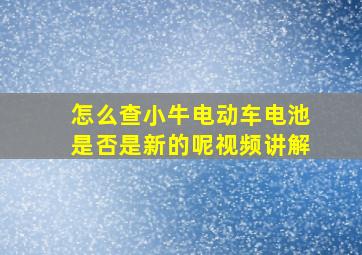 怎么查小牛电动车电池是否是新的呢视频讲解