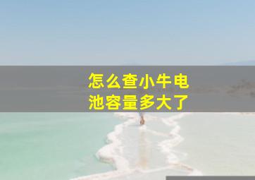 怎么查小牛电池容量多大了