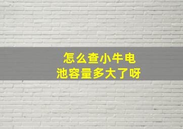 怎么查小牛电池容量多大了呀