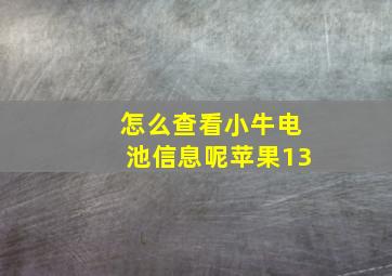 怎么查看小牛电池信息呢苹果13