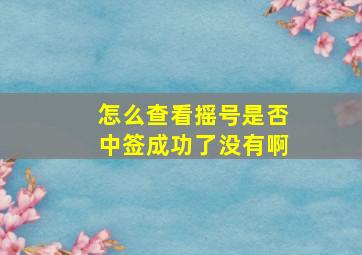 怎么查看摇号是否中签成功了没有啊