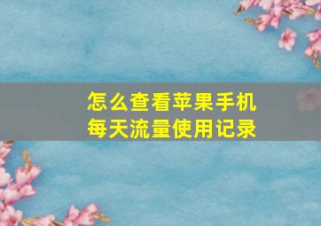 怎么查看苹果手机每天流量使用记录