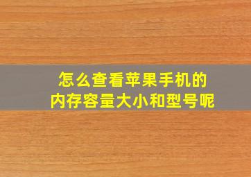 怎么查看苹果手机的内存容量大小和型号呢