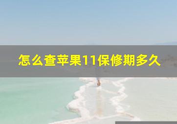 怎么查苹果11保修期多久